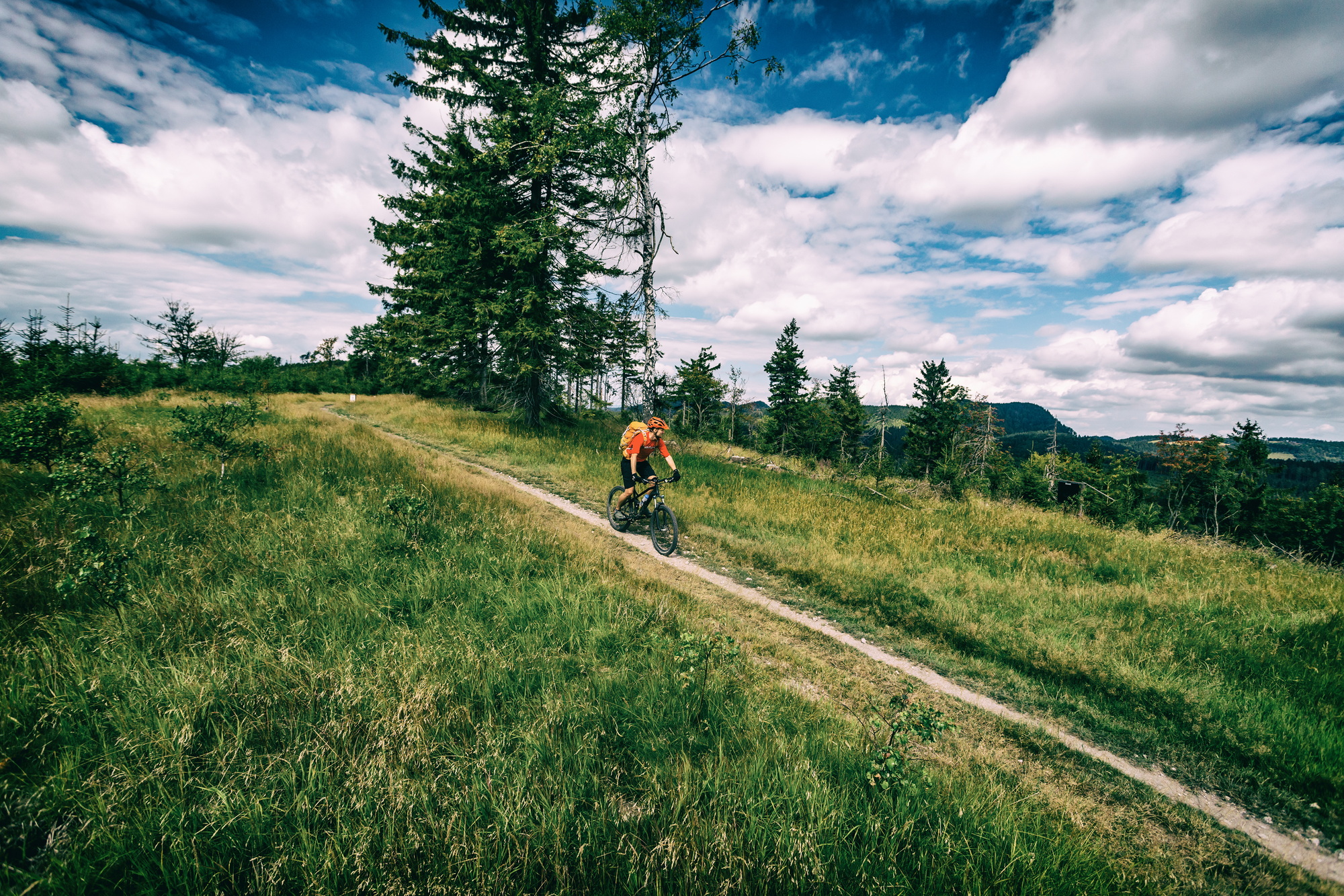 Mountain biking man riding in woods and mountains